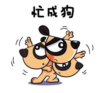 忙忙碌碌打一个正确生肖全面释义、综合解答解释落实