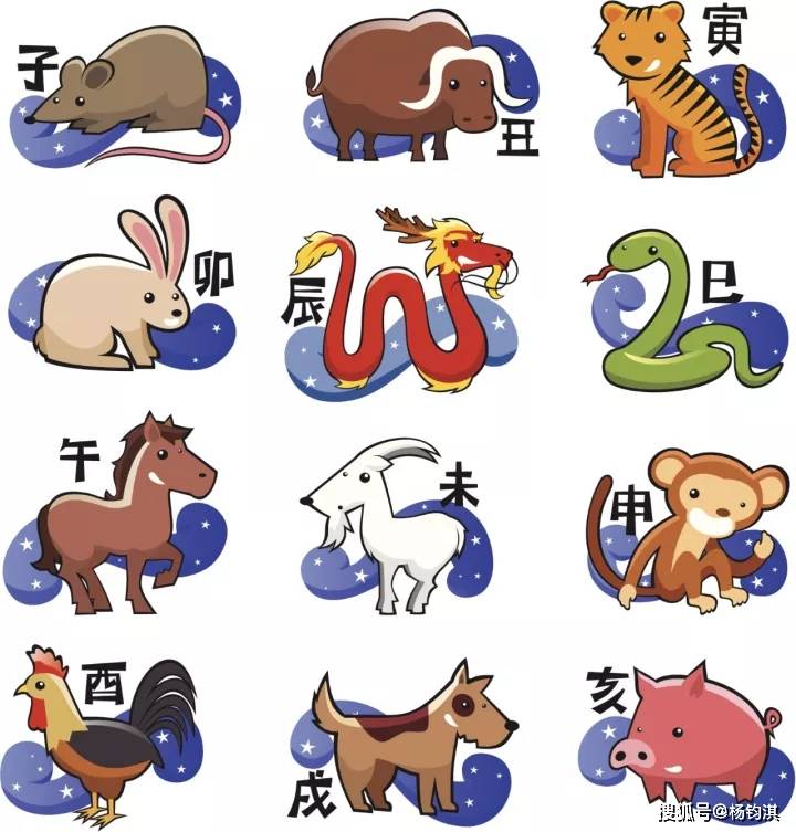 诗中玄机一四八,看对玄机包你中什么生肖详细解答、解释与落实、统计解答解释落实