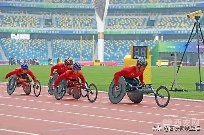 494949免费开奖大全、2025澳门历史记录查询请全面2释义、解释与落实、统计解答解释落实