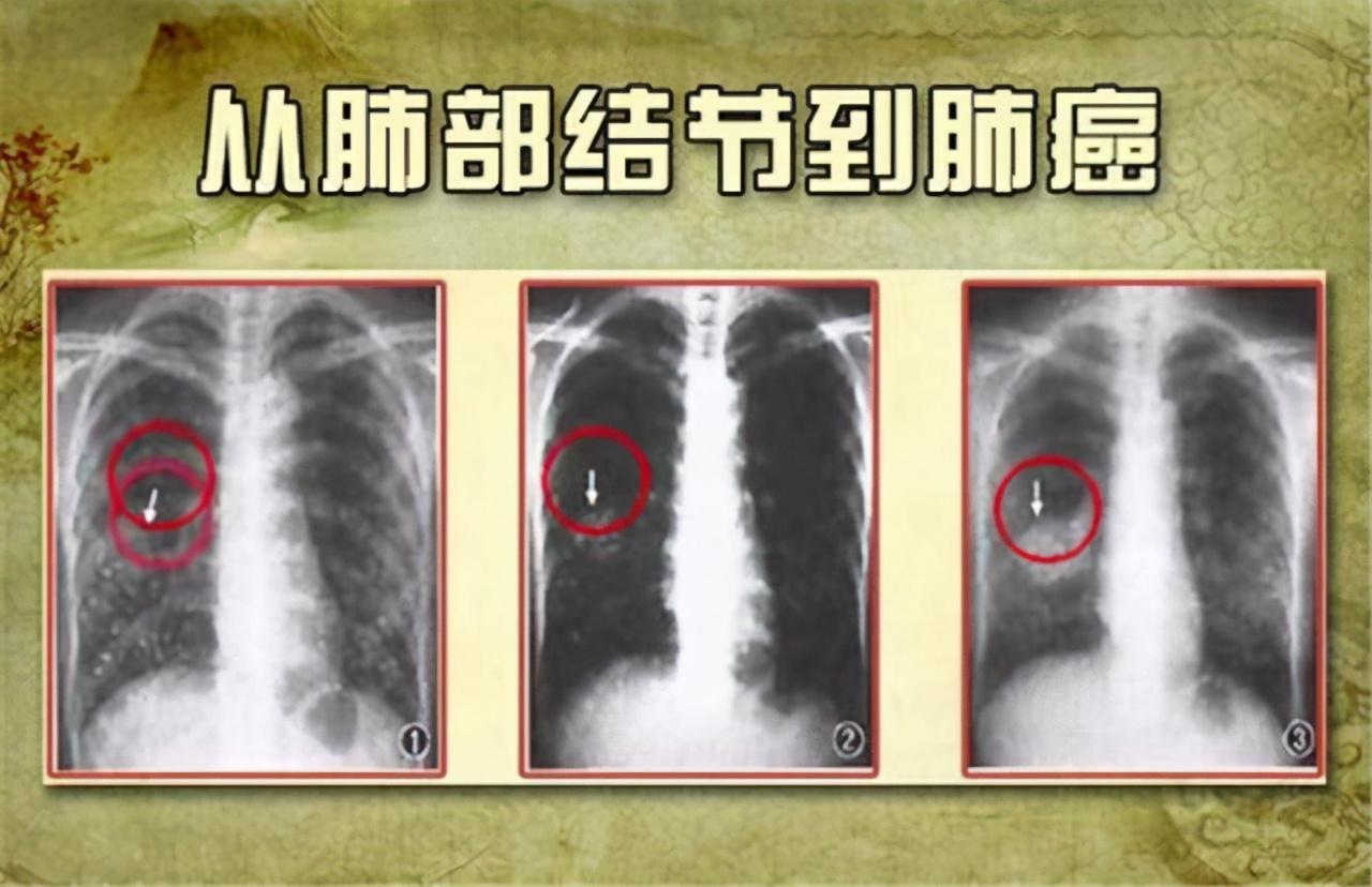 一手一腳，親力親為。原創精神不作偽打一正确生肖，详细解答、详细解答解释落实