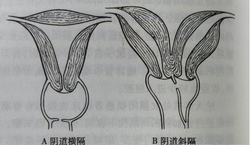 一手一腳，親力親為。原創精神不作偽打一正确生肖，详细解答、详细解答解释落实