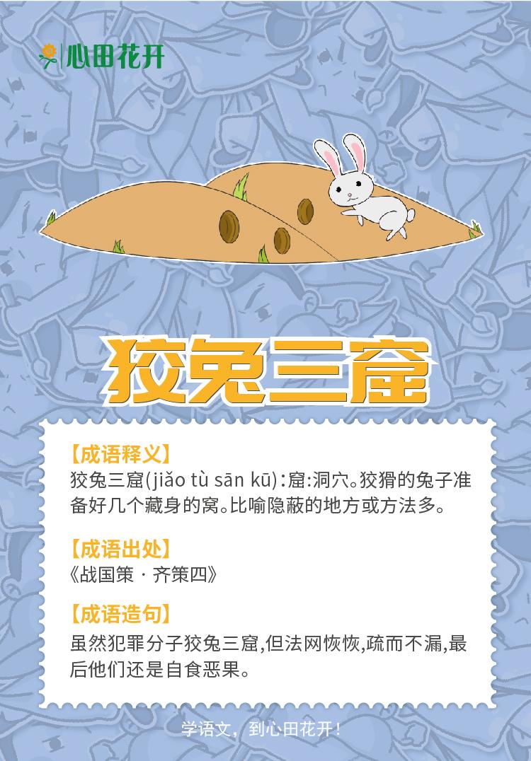 狡兔三窟打一准确生肖，全面释义、精准解答解释落实