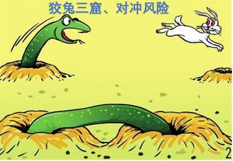 狡兔三窟打一准确生肖，全面释义、精准解答解释落实