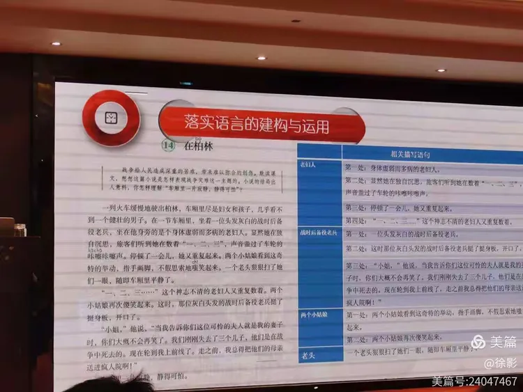 出乎意料打一正确生肖请全面释义、解释与落实、前沿解答解释落实