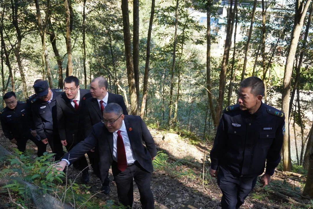 小山俩坐青山绿指什么生肖、警惕虚假宣传-全面释义、构建解答解释落实