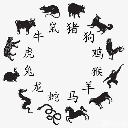七擒七纵打一生肖是什么生肖的全面释义、解释与落实、实证解答解释落实