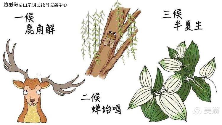 实靠想像，真辦不到 樹根豈可當髯鬚打一生肖详细解答、实证解答解释落实